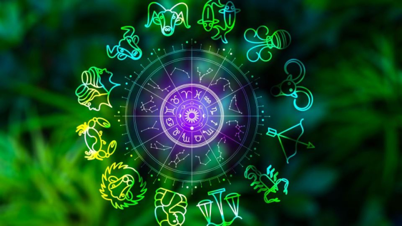Foto: Shutterstock Foto: Shutterstock